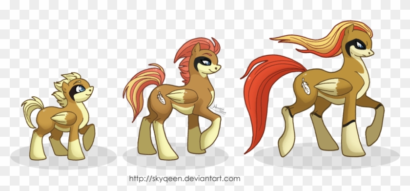 Mysweetqueen, Evolution Chart, Pegasus, Pidgeot, Pidgeotto, - Evolution #1260404
