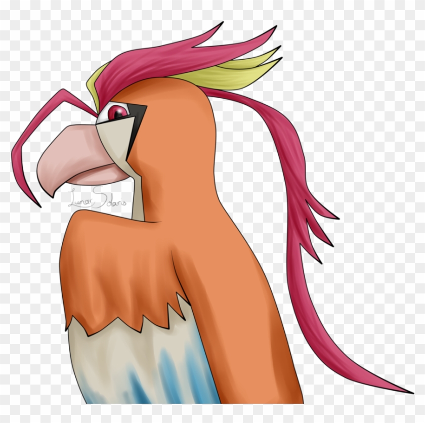 Pokemon Mega Pidgeot Card Images - Cartoon #1260408