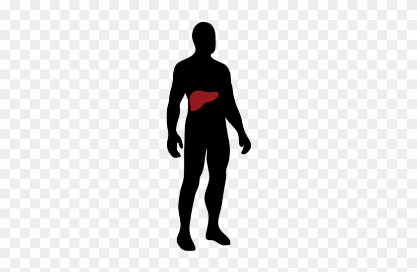 Clip Art #1260654