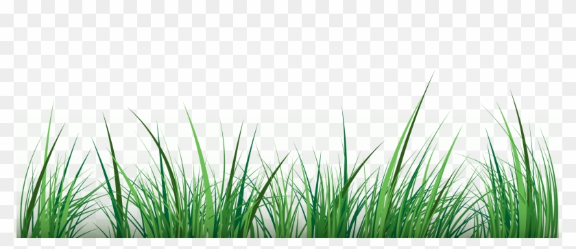 Green Clip Art - Clip Art #1260792