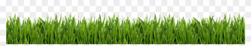 Green Grass - Lawn Care Business Guide [book] #1260848