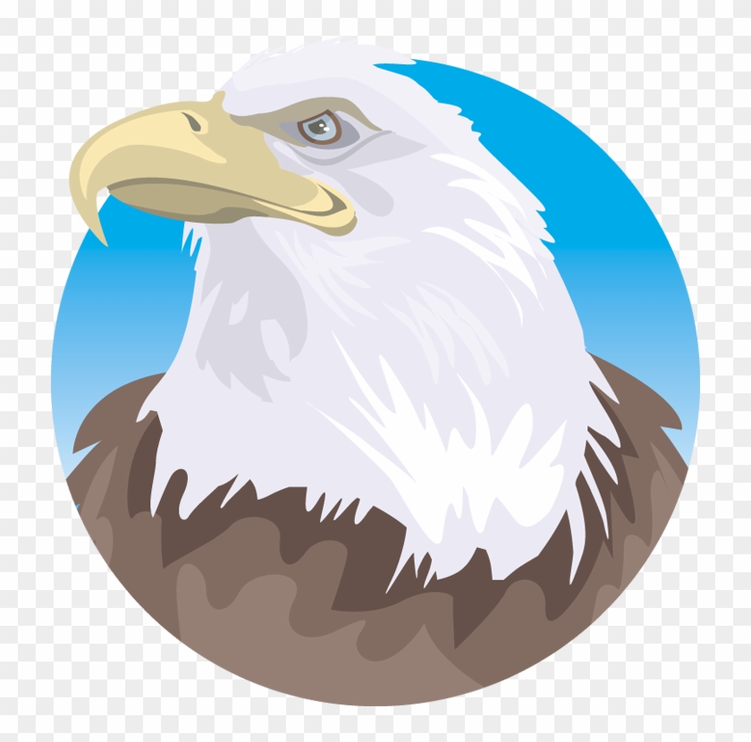 Bald Eagle - Clip Art #1260937