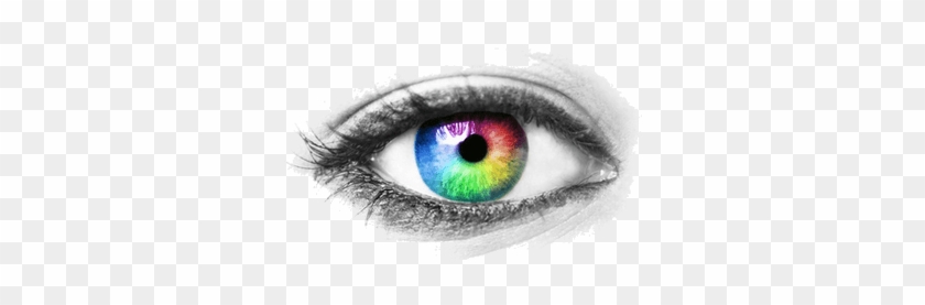Eye Transparent Wwwpixsharkcom - Eye Next Door [book] #1260948
