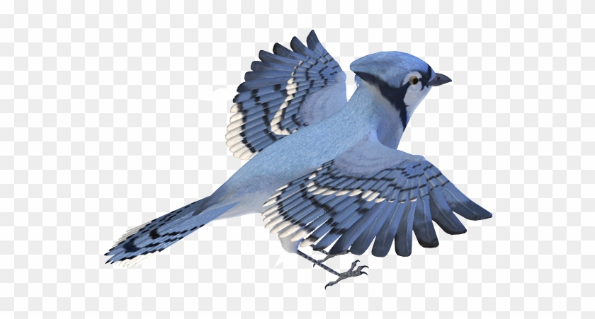 Birds Png Images - سكرابز طيور #1263847