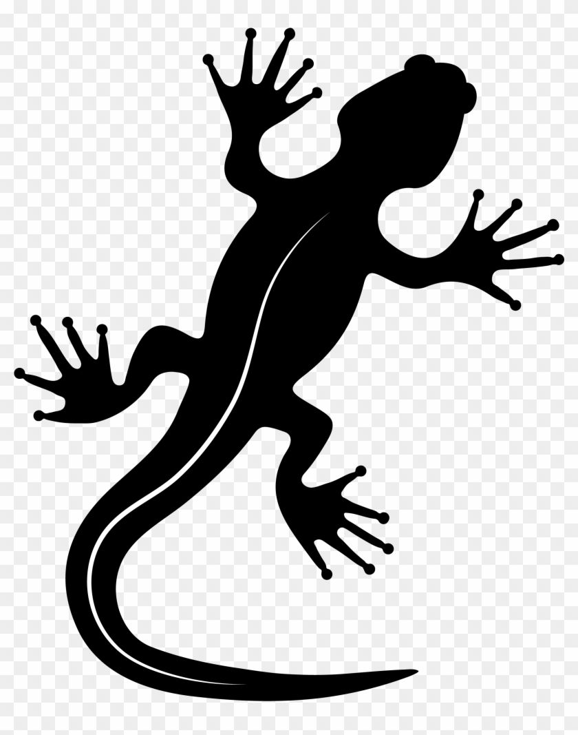 Gecko #1263934