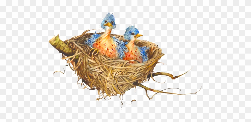Nest Png File - Nest Png #1264353
