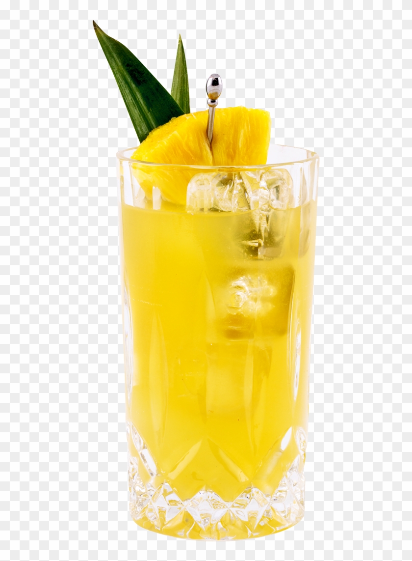 Around The World Gin & Juice - Shikanjvi #1264626