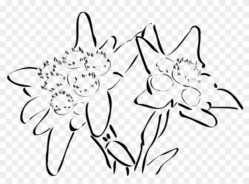 Similar Images For Edelweiss Clipart - Edelweiss Tattoo #1264690