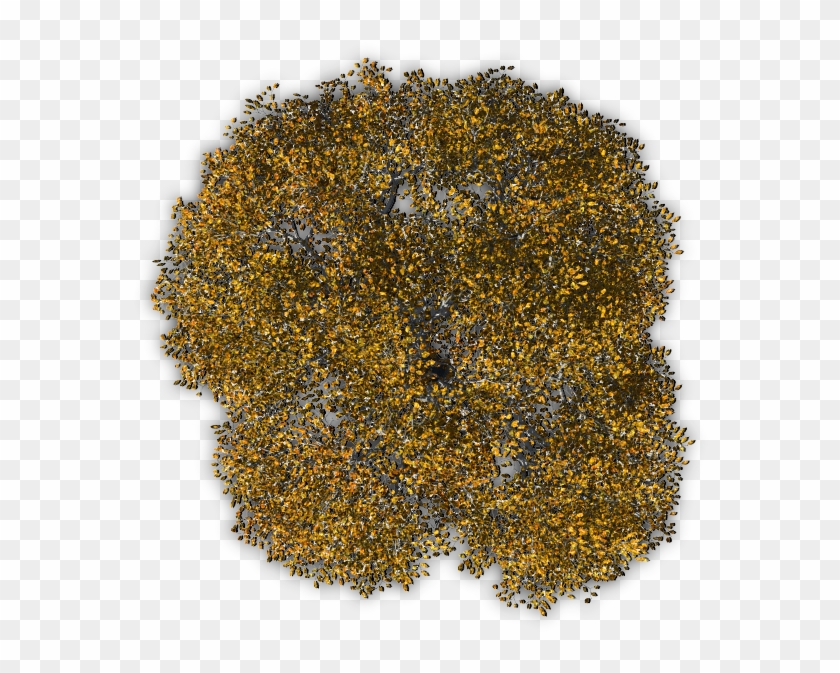 Tree Digital Media - Plants Png From Above #1265191