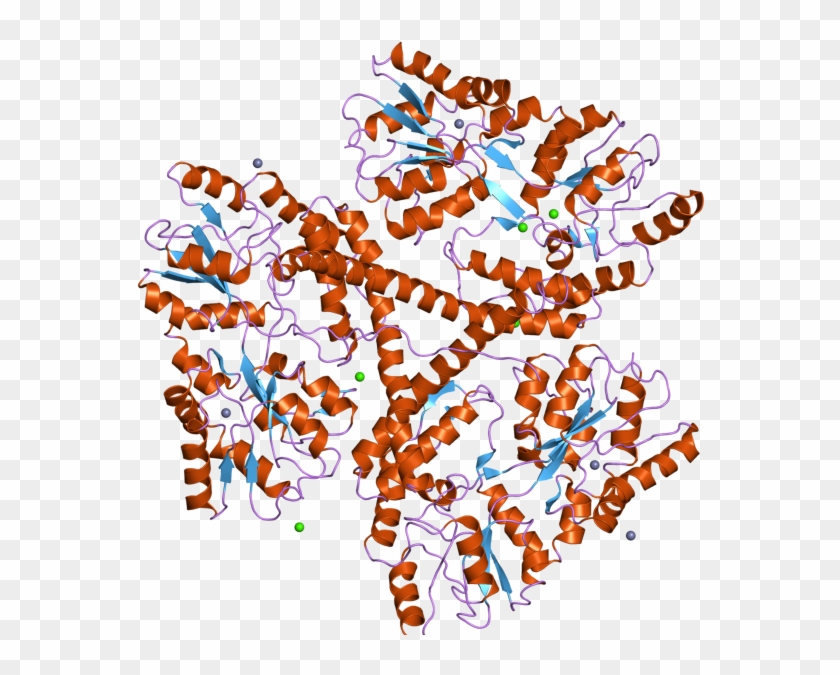 Molecular Mechanisms Involved In The Pathogenesis Of #1265422