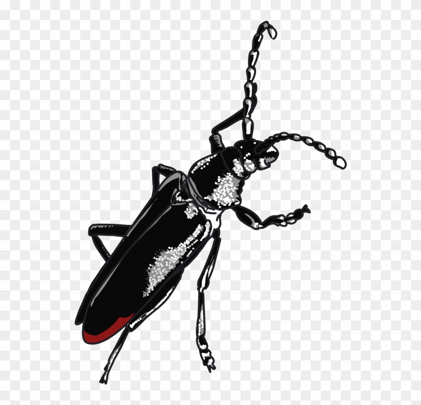 Clip Art #1265435
