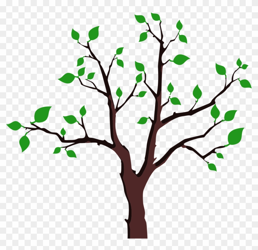 Foliage Tree - Tree With Sparse Leaves #1265459