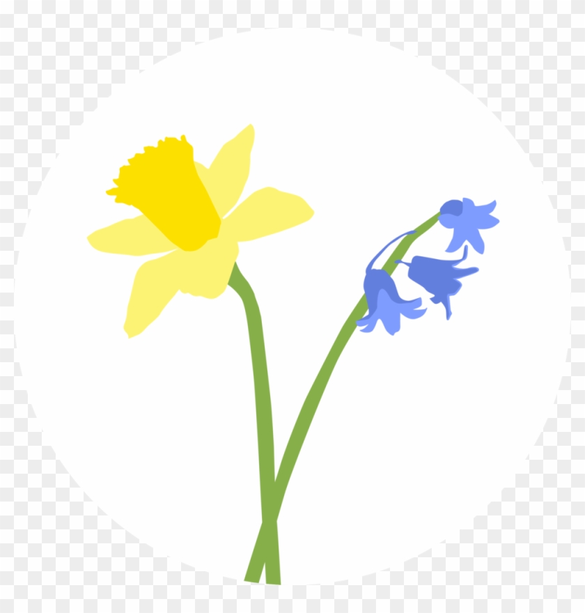 Dafoandblueround - Dafoandblueround #1266328