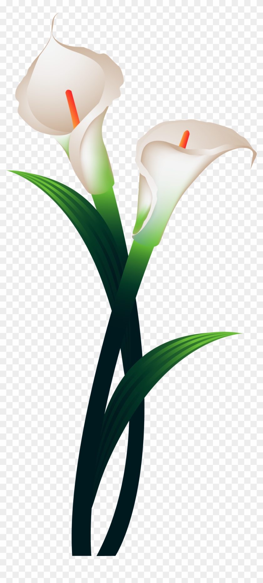 Explore These Ideas And More - カラー 花 絵 #1266810