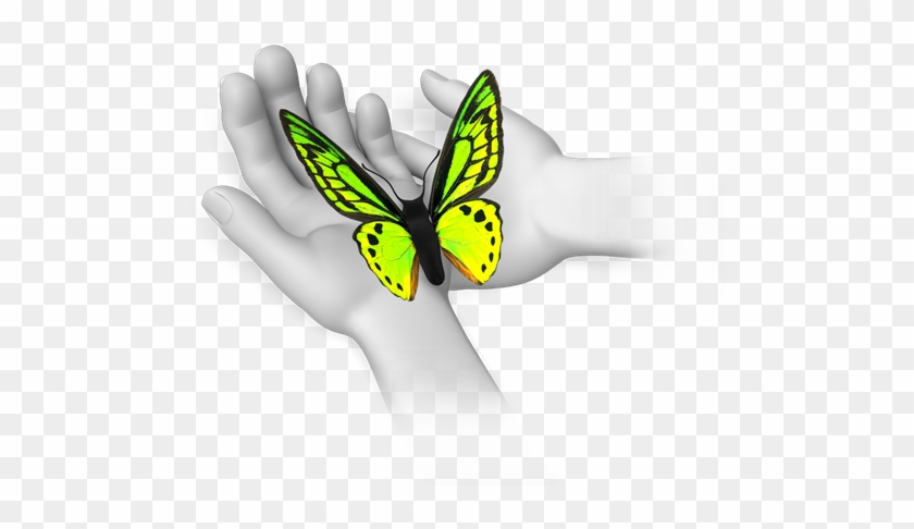 Field Trips - Flying Butterfly Animation For Powerpoint #1267488