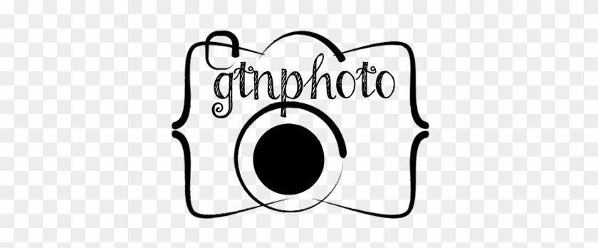 Gtnphotologo - 12 Monthly Baby Stickers, Pink, Gray, & Mint, Girl, #200650