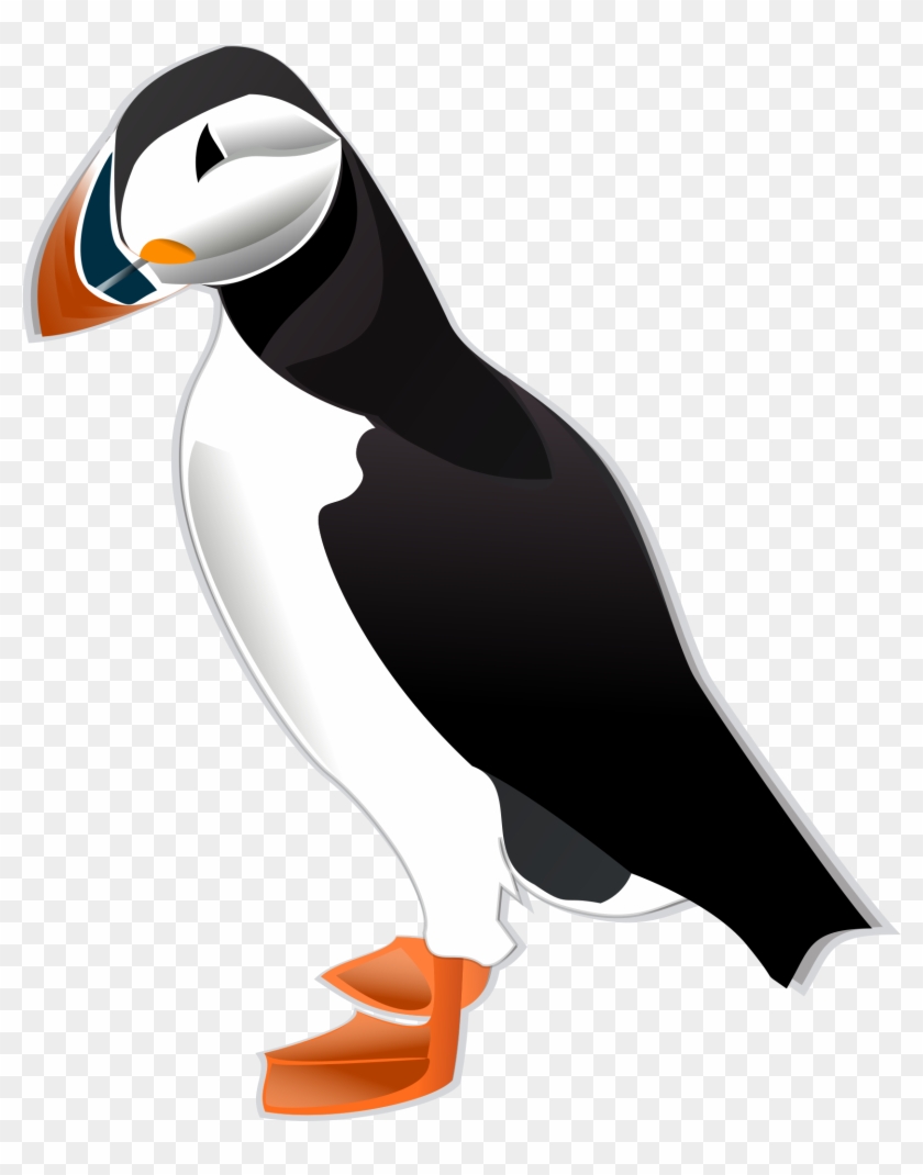 Atlantic Puffin Illustration - Interpreting Graphics Taxonomy Answers #201126