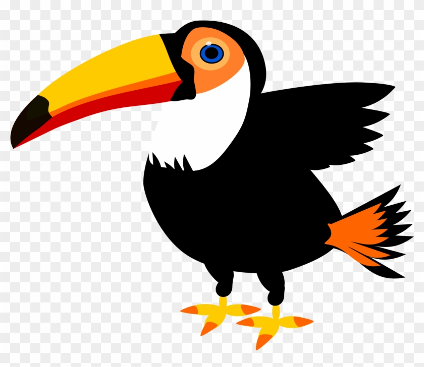 Toucan - Toucan #201178