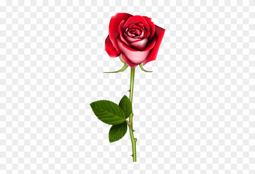 Rose Png Clip Art In Category Flowers Png / Clipart - Red Roses With Thorns #201746