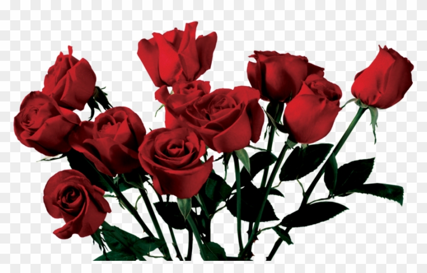 Image - Rose Png #201820