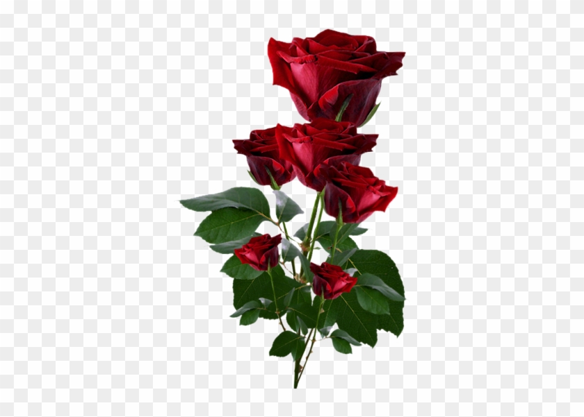 Red Roses Png Clipart - Beautiful Red Roses Images For Facebook #201850