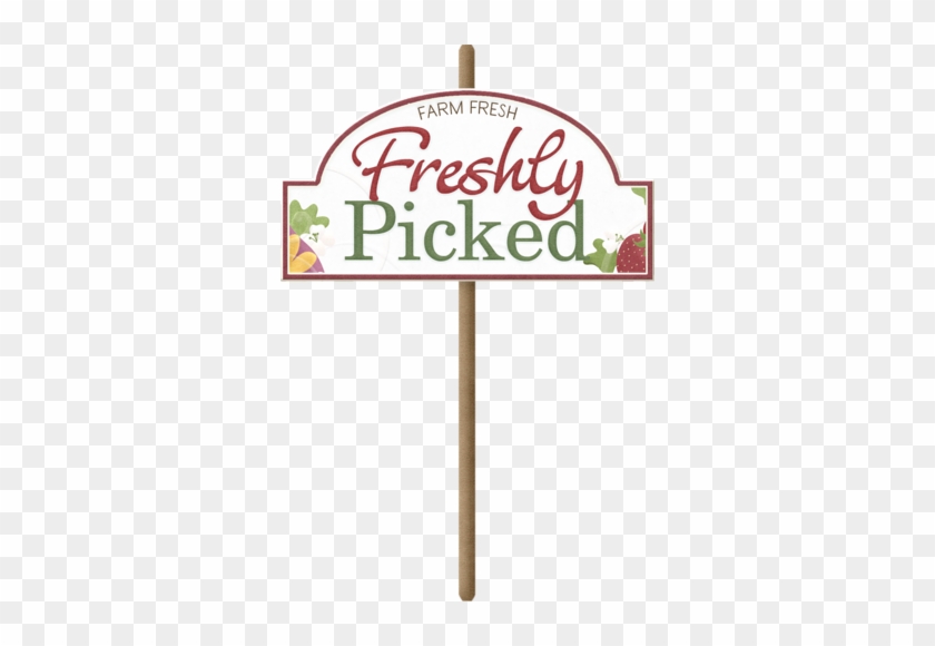 Farm Fresh, Freshly Picked - Southern Italian Family Cooking: Simple, Healthy And #202337