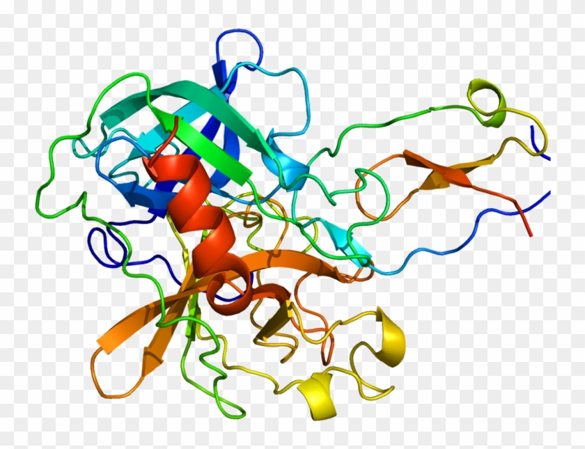 777px-protein Pi3 Pdb 1fle - 777px-protein Pi3 Pdb 1fle #202617