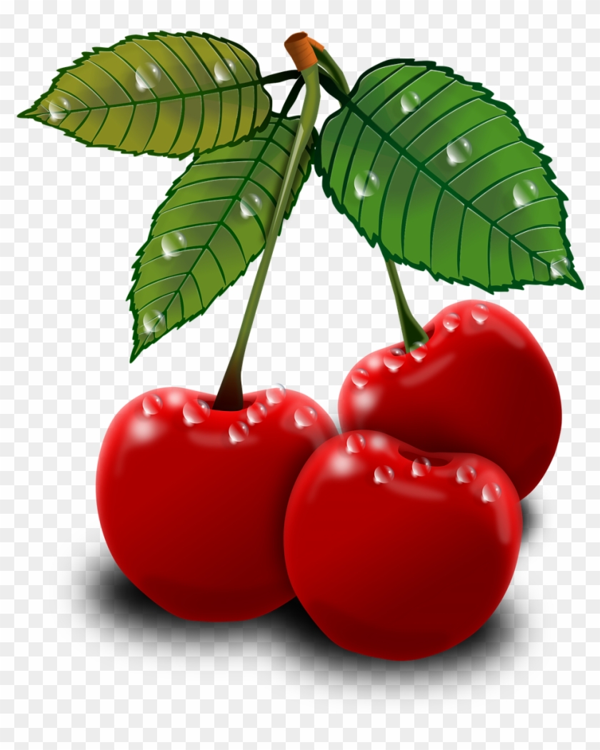 Cherry Clip Art - Cherry Clip Art #203052