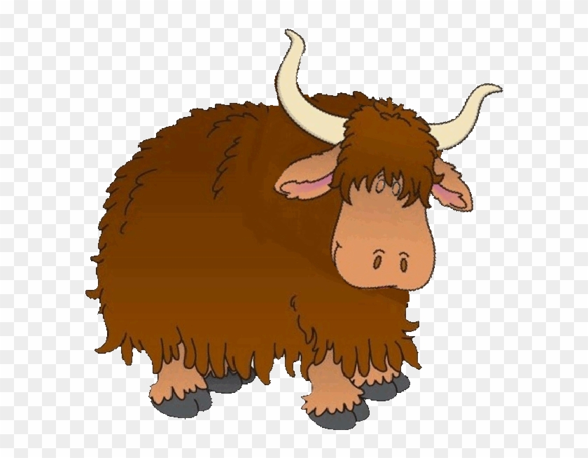 Images Bison - Essay #1269023