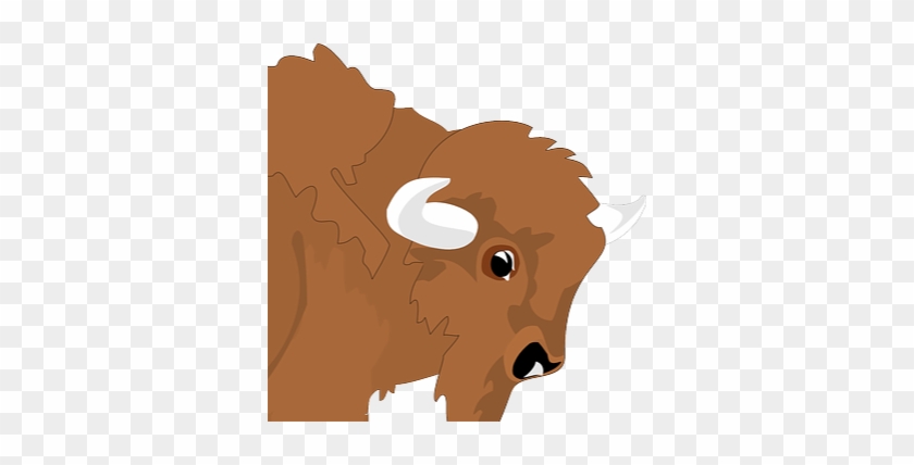 Cartoon Bison #1269048