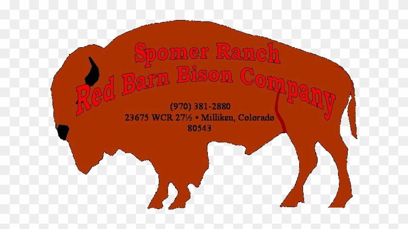Bison #1269065