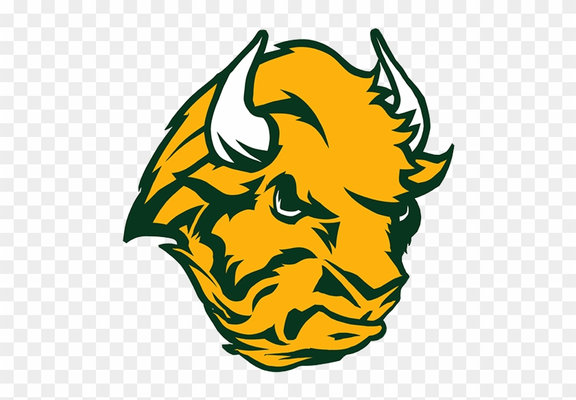 Fargodome North Dakota State Bison Football Dakota - North Dakota State Bison #1269132