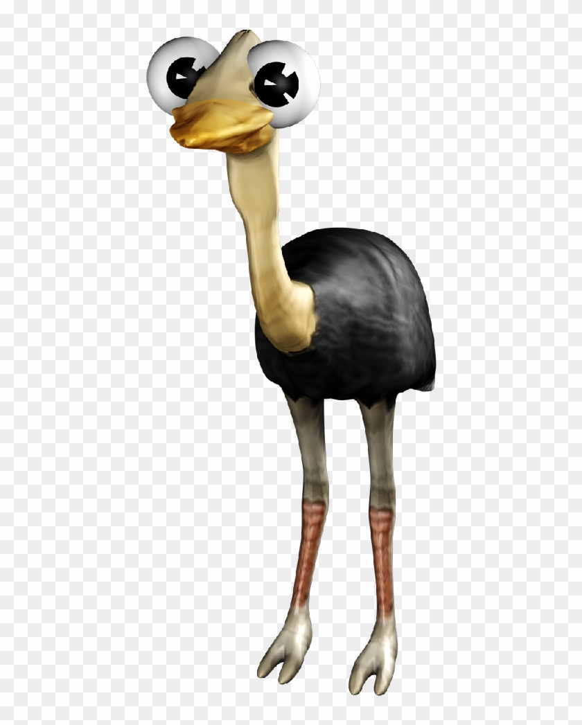 Ostrich - Wix.com #1269283