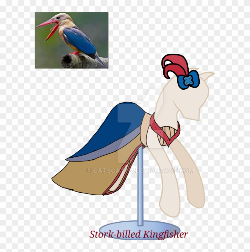 10 World's Most Beautiful Birds - Macaw #1269349
