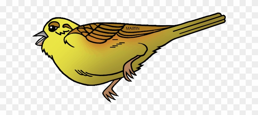United States Clip Art By Phillip Martin, State Bird - Alabama State Bird Picture Yellowhammer #1269690