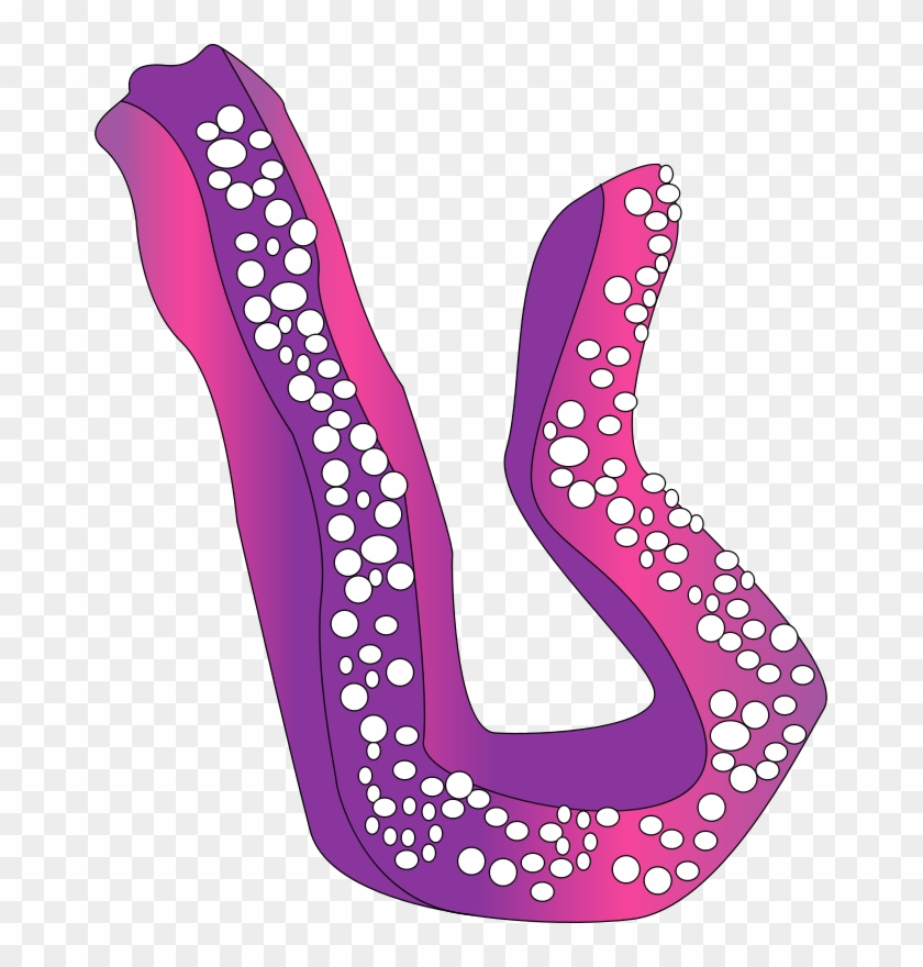 Free Concombre De Mer - Clip Art #1269900