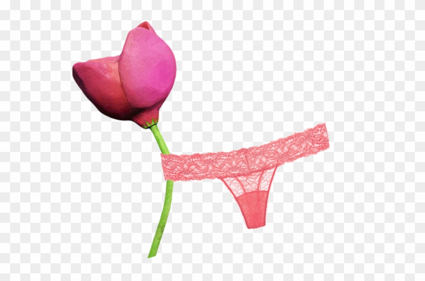 Image - Clip Art #1269971