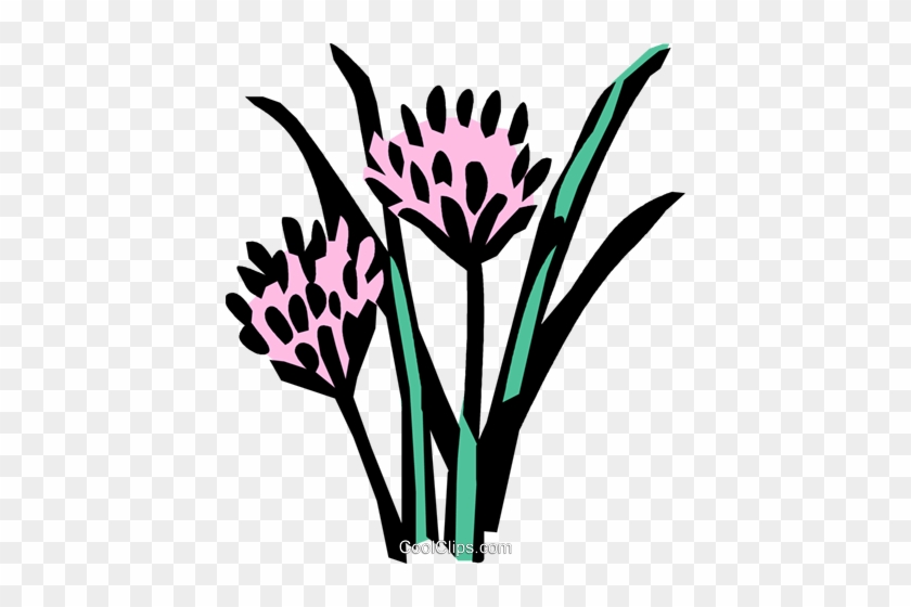 Chives Royalty Free Vector Clip Art Illustration - Chives Royalty Free Vector Clip Art Illustration #1271475