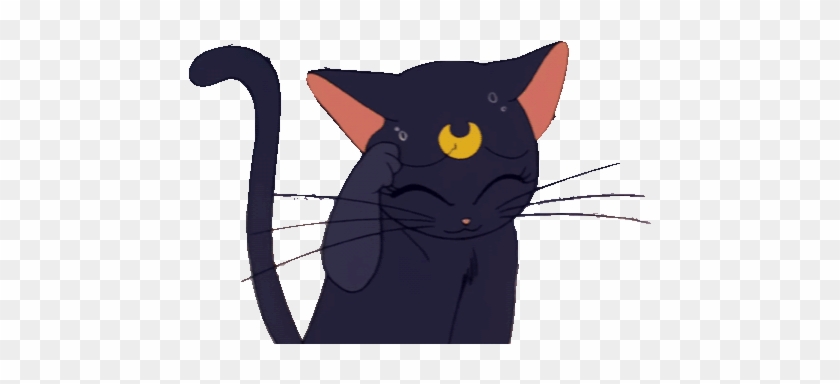 Cat Black Cat Sailor Moon Luna Anime Kiki's Delivery - Sailor Moon Cat No Background #1272045