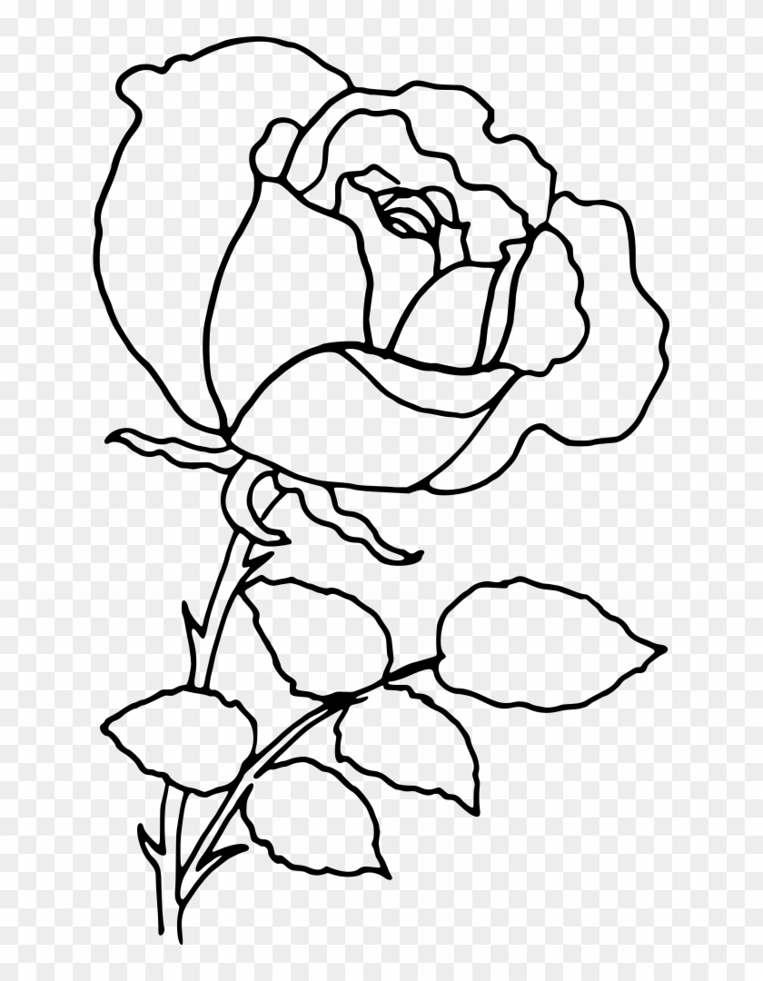 Rose Outline - Rose Outline Png #1272093