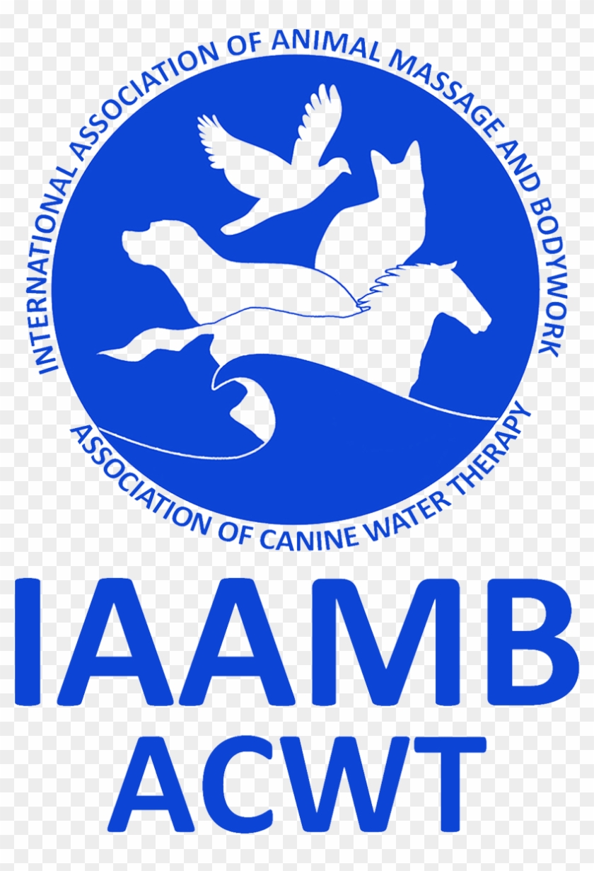 Iaambacwt Circle Logo With Text Blue On Trans - Headwork #1272559