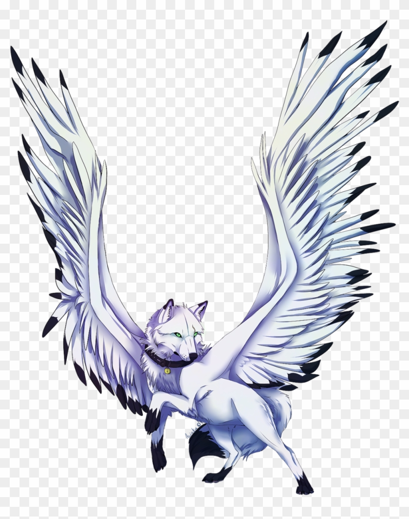 I-explore Ang Fantasy Art, Couples, At Higit Pa - Anime Wolf With Wings #1273360