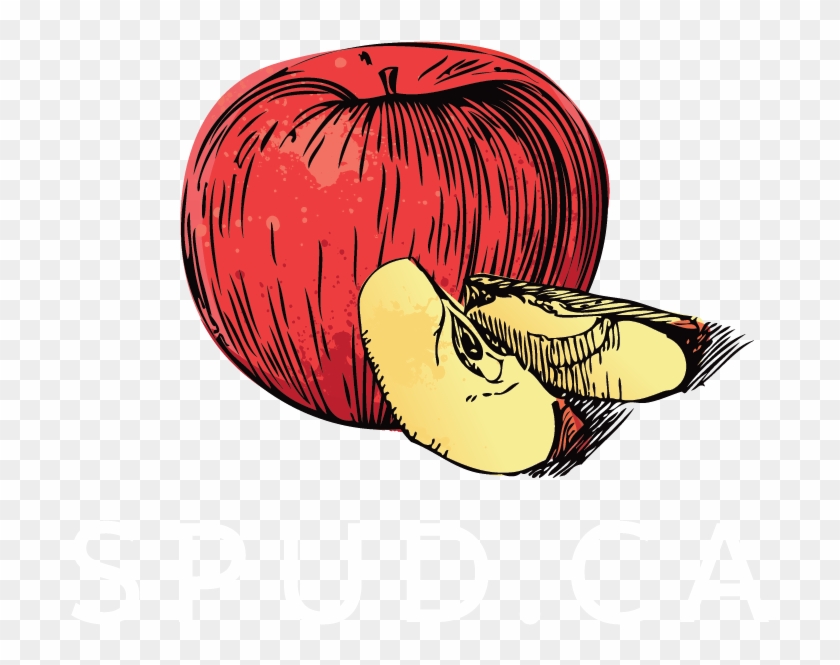 Back To Top - Spud Ca Logo #1276094