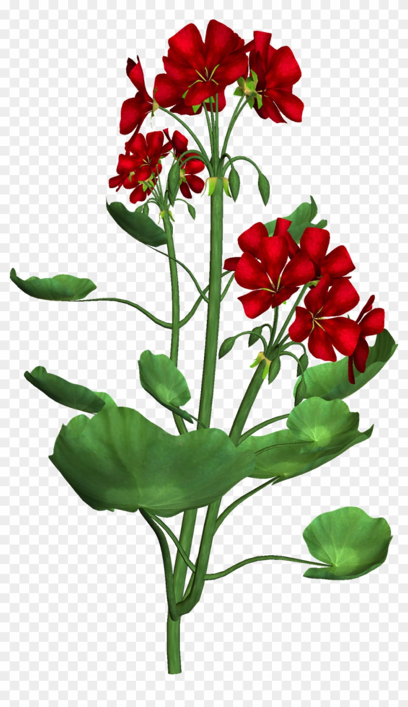 Free Png Clipart - Floral Design #1276996