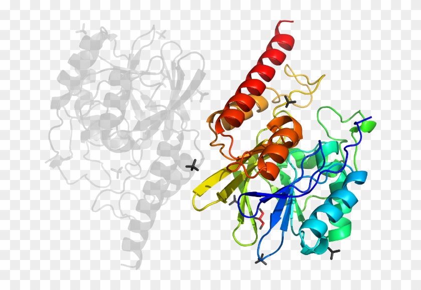 D5wckb In Context Of Pdb - D5wckb In Context Of Pdb #1277533