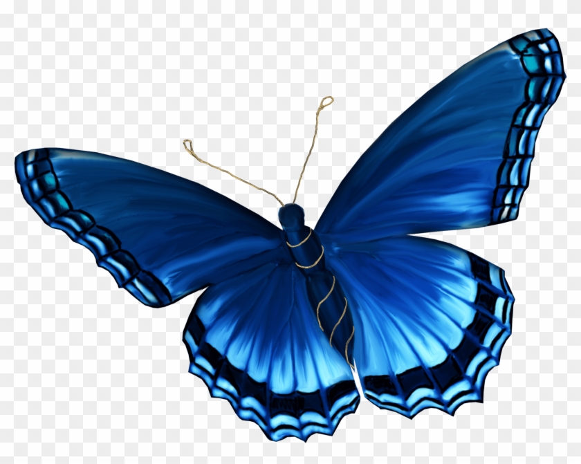   Butterfly With No Background #1278446