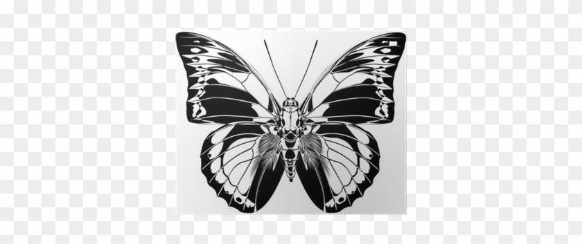Papilio #1278541