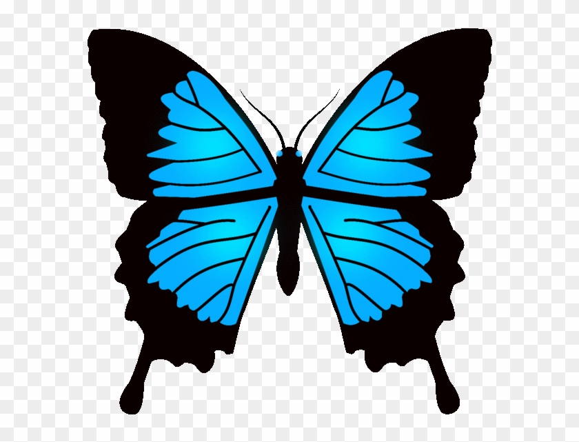 Animated Images Of But - Blue Butterfly #1278748