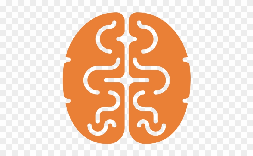 Moolchand Neurosciences Institute - Hemisphere Gauche Et Droite #1279037