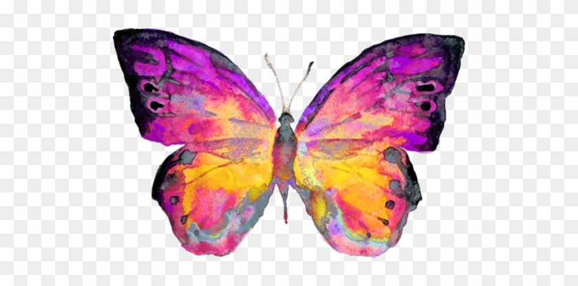 Your Time As A Caterpillar Has Expired Your Wings Are #1279076